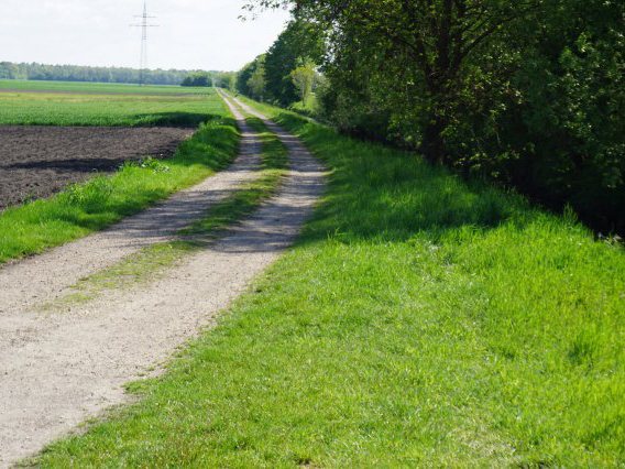 Feldweg